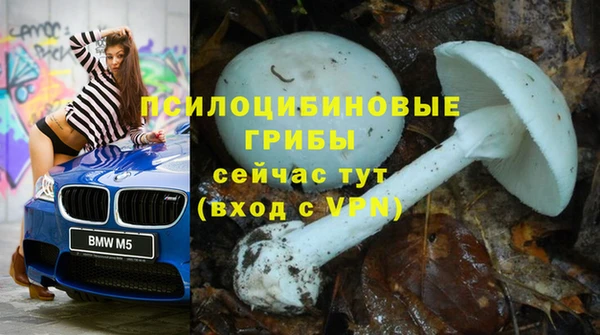 spice Алексеевка