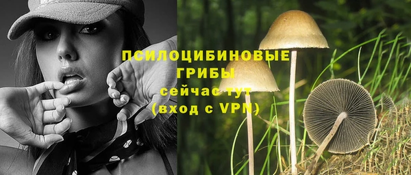 spice Алексеевка