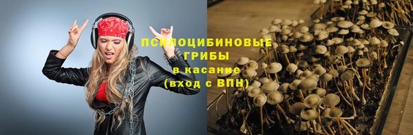 меф Алексин