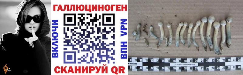 Псилоцибиновые грибы MAGIC MUSHROOMS  omg как войти  Микунь  где найти наркотики 